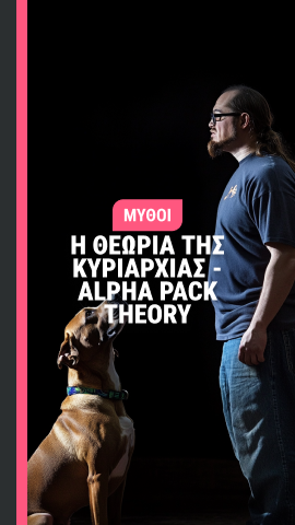 Θεωρία της κυριαρχίας - Alpha Dog