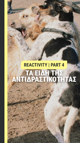 Τα είδη της αντιδραστικότητας