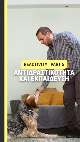 Αντιδραστικότητα και εκπαίδευση