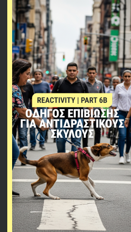 Οδηγός επιβίωσης για αντιδραστικούς σκύλους